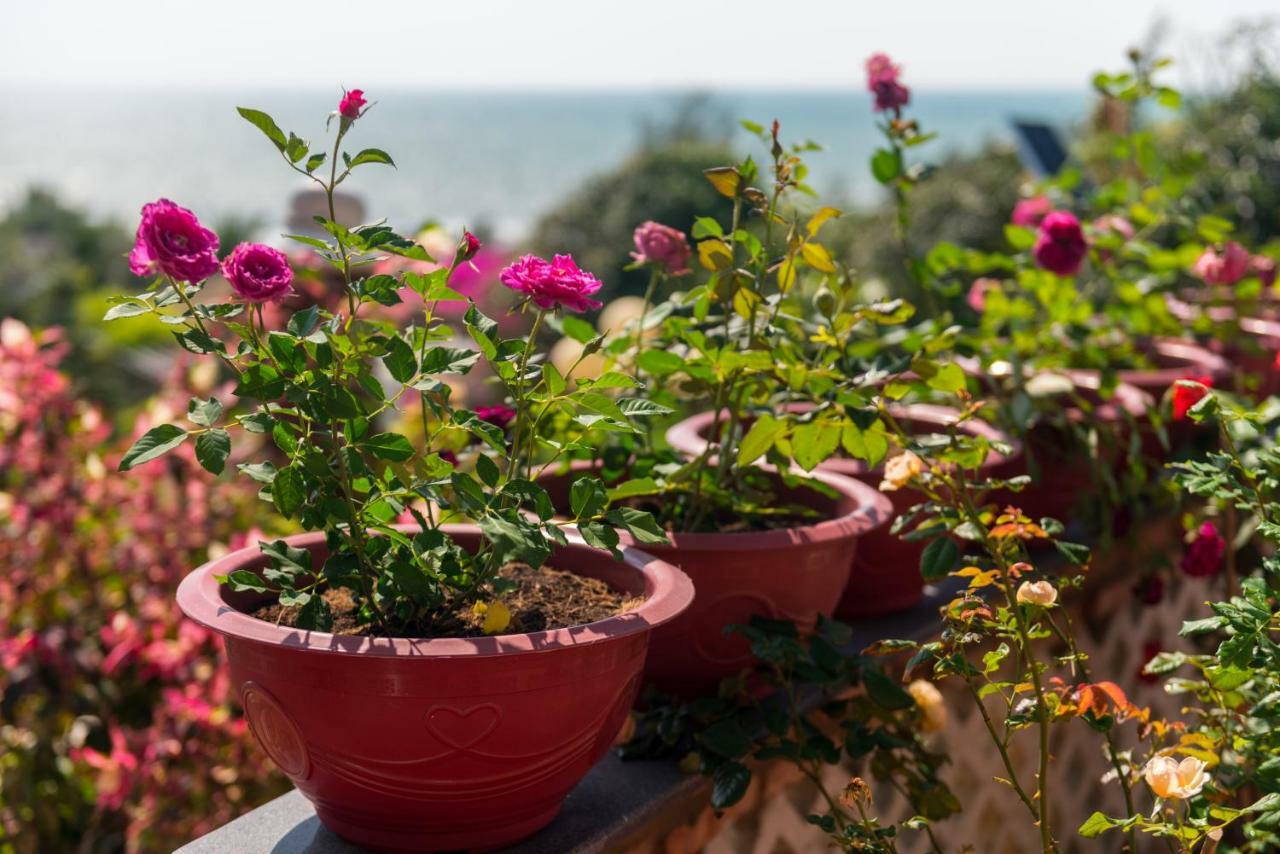 Veranda Beach Place Hotel Phan Thiết Esterno foto